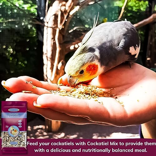 Cockatiel Food Bundle - Mix 1kg, Frutti Cocktail 250g, Treats Sticks x3, Millet Spray x6 - Image 4