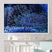 Framed Canvas Wall Art Deep Under Group Jellyfish Marine Life Multicolor Photography Realism Tropical Ultra Whimsical - 16x24 inches