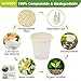 CCWOFF 300PCS 3 OZ Bathroom Cups 100% Compostable Biodegradable Eco Friendly Cups Small Cups Disposable Mini Mouthwash Cups for Bath Rinse Cup Shot Disposable Cups for Drinking Washing Cups 2