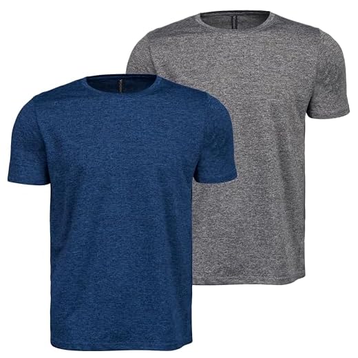 Kit 2 Camisetas Masculina Dry Fit Anti-Odor Academia Treino Fitness M ao G1 (Cinza e Azul, G)