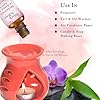 Abbey & Sullivan Fragrance Oil, McIntosh Apple, 1 oz. #5