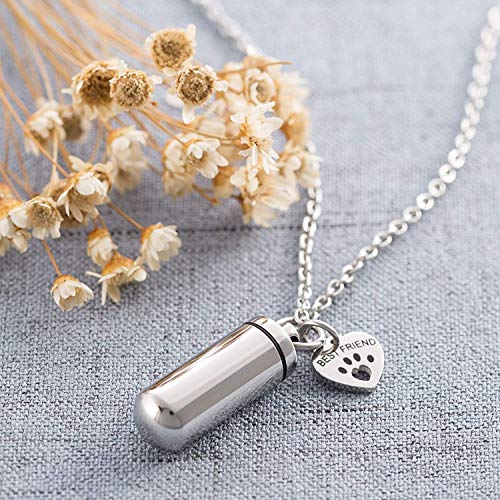 TTVOVO Pet Cremation Urn Necklace for Ashes Memorial Keepsake Ashes Holder Urn Locket Best Friend Dog Paw Urn Cylinder Necklace with Angel Wing Charm Pendant Necklace for Men Women Remembrance Jewelry4