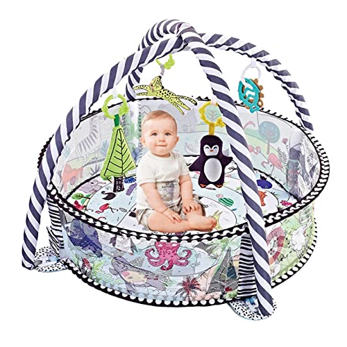 xr[W vC}bg {[sbg,{[sbgť߂̃mXbvxr[ANeBreBW | oƉ^\͂̔B̔AVAԂ񂩂cւ̃MtgƂ