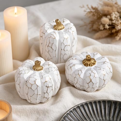 Image of winemana Set of 3 White Pumpkins Fall Decorations for Home | Resin, Textured Neutral Pumpkin, Thanksgiving Centerpiece For Table, Mantel, Porch & Indoor, Farmhouse Autumn Harvest Decor