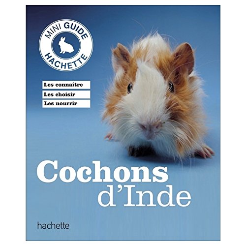Hachette Pratique - Cochon d'inde - -72%