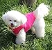 JoyDaog 2 Layers Fleece Lined Warm Dog Jacket for Puppy Winter Cold Weather,Soft Windproof Small Dog Coat,Pink M