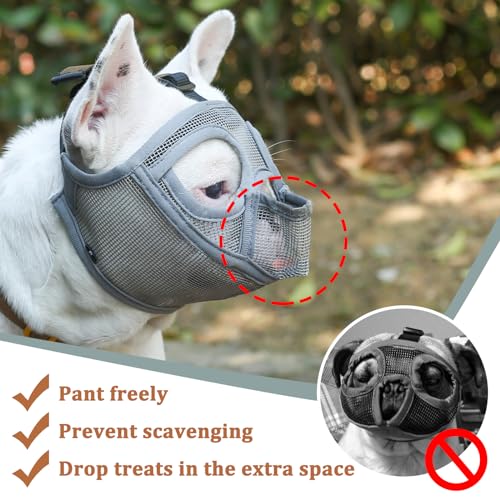 Image of Mayerzon Short Snout Dog Muzzle for French Bulldog with Full Pant Design to Prevent Eating Biting, Soft Mesh Dog Muzzle for Shih Tzu Pug English Bulldog for Grooming Walking, Allow to Drink and Feed