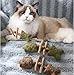 Fix Your Cat’s Dental Health, Creative Fish Bone Cat Toy – Wooden Catnip Teeth Cleaning Stick, Natural Fishbone Cat Dental Toy, Durable Feline Tooth Care Tool (3pcs-Mix)