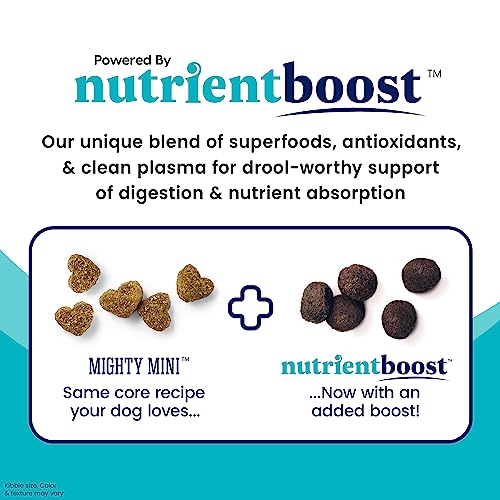 Solid-Gold-Nutrientboost-Mighty-Mini-Small-Breed-Dog-Food-Dry-Dog-Food-Made-with-Real-Chicken-for-Any-Toy-Breed-Grain-Gluten-Free-Recipe-for-Gut-Health-Sensitive-Stomach-Support-375-LB-Bag