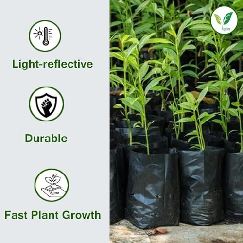 Image of IAgriFarm UV Protected Poly Grow Bag /Nursery Plant Bags, 5x8 inch,250 Qty,Black,