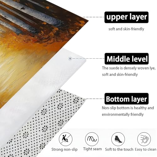 Paillasson extérieur antidérapant 40x60 cm tapis lavable