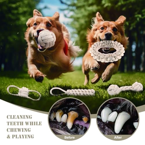 AnNissa Hundespielzeug Seil, 5 Stück Seilspielzeug für Kleine Hunde, Hundespielzeug für Zahnreinigung und Kauen, Geflochtenes Seil für Hunde, Interaktive Geflochtene Baumwolle Hundeseil Knoten