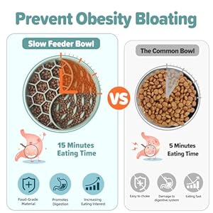 Slow Feeder Dog Bowls, Silicone Pet Food Bowls with Suction Cups for Small Medium Breed, Non-Slip Dog Feeding Bowls Slow Down Pet Eating Speed, Anxiety Relief & Fun Added (Green, 2 Cup) Slow Feeder Dog Bowls Silicone Pet Food Bowls with Suction Cups for Small Medium Breed Non Slip Dog Feeding Bowls Slow Down Pet Eating Speed Anxiety Relief Fun Added Green 2 Cup