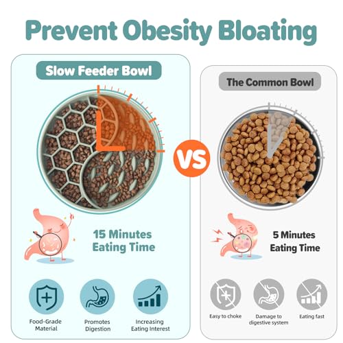 Slow-Feeder-Dog-Bowls-Silicone-Pet-Food-Bowls-with-Suction-Cups-for-Small-Medium-Breed-Non-Slip-Dog-Feeding-Bowls-Slow-Down-Pet-Eating-Speed-Anxiety-Relief-Fun-Added-Green-2-Cup Slow Feeder Dog Bowls Silicone Pet Food Bowls with Suction Cups for Small Medium Breed Non Slip Dog Feeding Bowls Slow Down Pet Eating Speed Anxiety Relief Fun Added Green 2 Cup