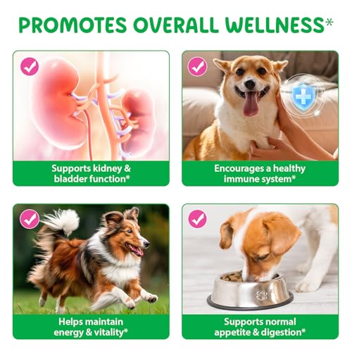 Dog Kidney Support Drops, 100% natürliche Harnwegsbehandlung für Hunde 60ml, unterstützt die Nierenfunktion und HWI Pflege Hund, Stärkung des Immunsystems