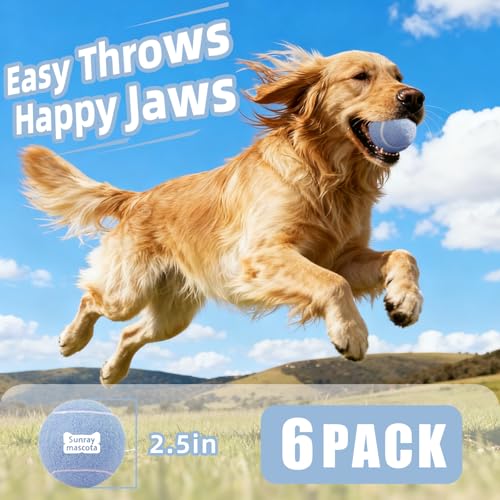 Image of Sunraymascota 6-Pack Tennis Balls for Dogs Fetch Toys,for Beginner Practice