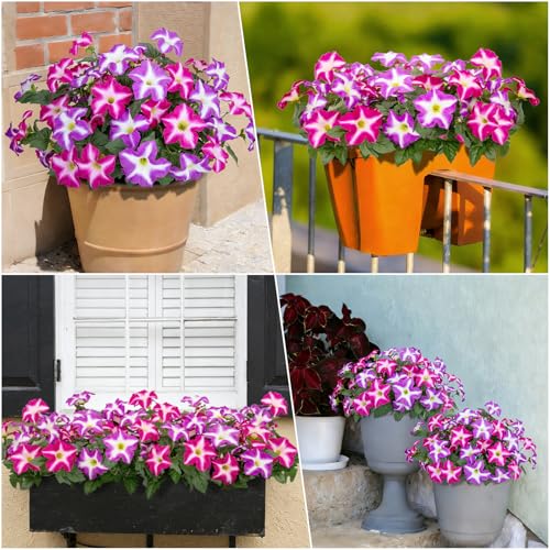 Image of Bassion Artificial Flowers for Outdoors, 4 Pcs Fake Petunia Flower, Fuschia