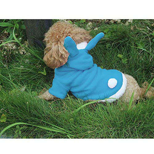 Disfraz de conejito para perro pequeño, talla S, azul miniatura 4
