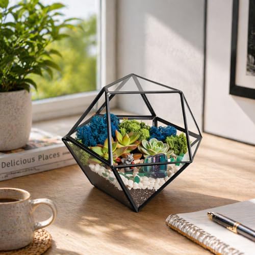 Creations by Nathalie DIY 7' Geometric Terrarium Kit -...