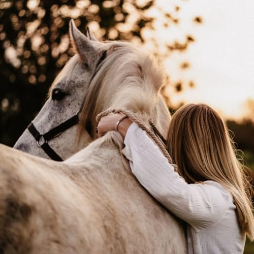 Page de couverture de Caballos: compañeros inseparables del ser humano a lo largo de la historia