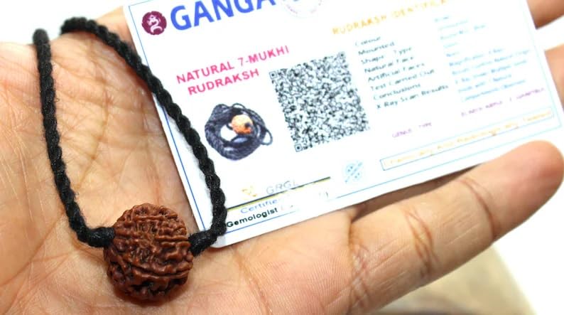 Rudraksha Pendant 7 Mukhi Original Lab Certified Rudraksh Mala Bead Necklace on Adjustable Cotton Cord, Shiva Jewelry, Ayurveda Yoga Energy Hindu Protection Necklace for Men & Women