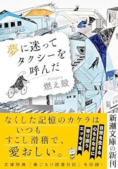 夢に迷ってタクシーを呼んだ (新潮文庫 も 45-3)