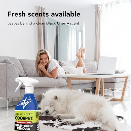 Image of OdorPet Pet Stain Remover and Odor Eliminator - 16 Oz Ready To Use Spray, Non Staining, Professional Strength, Black Cherry Scent by Alpha Tech Pet