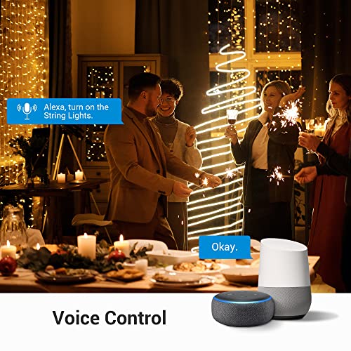 Image of DEWENWILS WiFi Smart Yard Stake Plug with 6 Outlets, Voice Control, Waterproof Power Stake Timer with 6Ft Cord, Alexa&Google Assistant Compatible, 1875W /15A, for Outdoor Decoration Lights