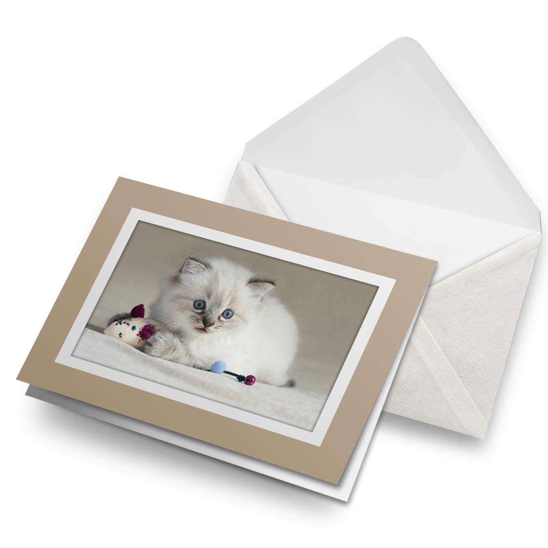 Greeting Cards Biege (Insert) - Pretty Ragdoll Cat Kitten Blank Greetings Card Birthday Kids Party Boys Girls #3598