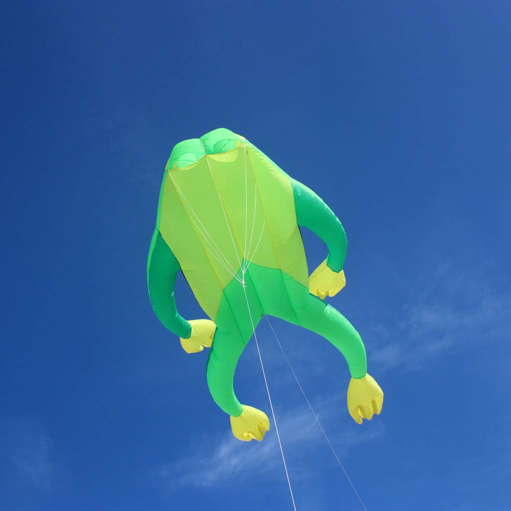 Wolkenstürmer Fritz The Frog Cometa Simple Línea sin Perchas