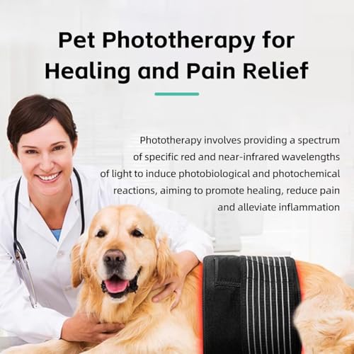 Image of MANON ROSA Red Infrared Light Therapy Belt Pets: Wearable Device for Tissue Repair Relieving Sciatica Joint Back Pain in Small Medium Large Dogs Cats (Small,60 Lamp Beads)