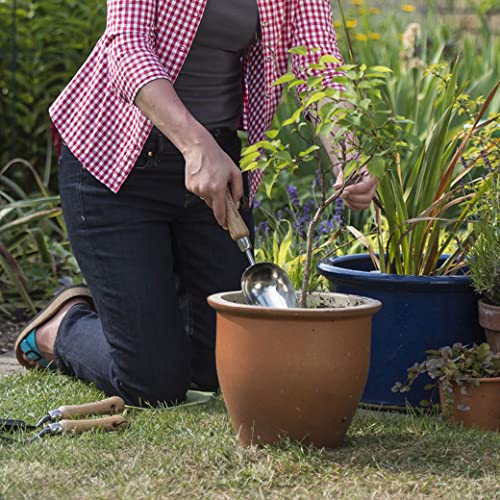 Kent & Stowe Stainless Steel Hand Potting Scoop, Compact Garden Scoop for Compost and Soil, Classic All Year Round Garden Tools Made from Stainless Steel and Ash Wood 4 Kent & Stowe Stainless Steel Hand Potting Scoop, Compact Garden Scoop for Compost and Soil, Classic All Year Round Garden Tools Made from Stainless Steel and Ash Wood - Image 4