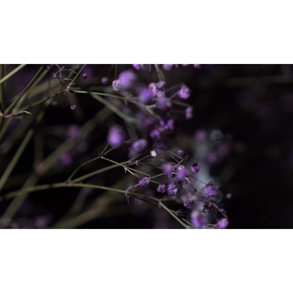 Best Friend Bracelets for 2 Matching Yin Yang Adjustable Cord Bracelet for Bff Friendship Relationship Boyfriend Girlfriend Valentines Gift