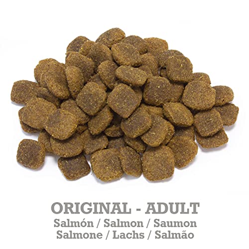 Arquivet Original Adult – Futter für ausgewachsene Hunde – Lachs und Reis, 3 kg (1 Stück)