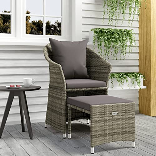 LAPOOH Set de Muebles de jardín 2 pzas Cojines, Conjunto Jardin, Conjunto Terraza Exterior, Juego De Terrazas, Terrazas Chill out, Set Mueble Jardin, ratán sintético Gris