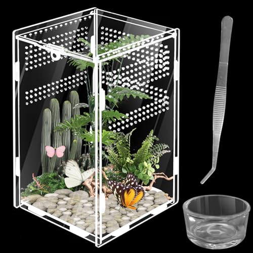 Pritok - Terrarium für Reptilien und Amphibien, aus Glas, tragbar, für Spide, Skorpion, Käfer, Anbeter, 20 x 12 x 12 cm Pritok - Terrarium für Reptilien und Amphibien, aus Glas, tragbar, für Spide, Skorpion, Käfer, Anbeter, 20 x 12 x 12 cm