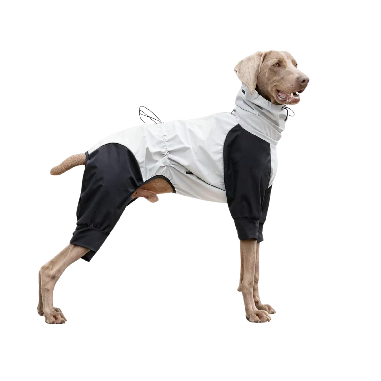 4-Leg Full Coverage Dog Raincoat – Waterproof Windproof Reflective High Collar Jacket with Leash Hole for Small Medium Large Dogs Schnauzers Weimaraners Greyhounds (Grey, 4XL)