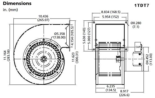 Miniatura 3 de Dayton Soplador 1TDT7, 542409 CFM, 115V, 2.001.54 Amp