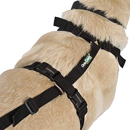 Ortocanis - Full-Body Dog Harness for Fore and Hind Support Size M - Image 4