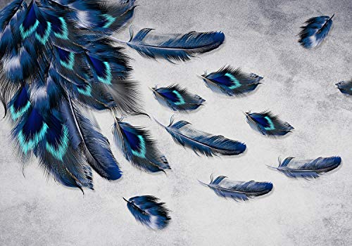 wandmotiv24 Photo murale Plume de paon bleu XL 350 x 245 cm - 7 pièces photo, papier peint non tissé Oiseau, plumes d'oiseau, faisan M1155