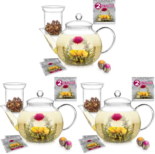 Image of Teabloom Stovetop & Microwave Safe Glass Teapot with Removable Loose Tea Glass Infuser - Includes 2 Blooming Teas - 2-in-1 Tea Kettle and Tea Maker - Tea Purist's Choice (Pack of 3)