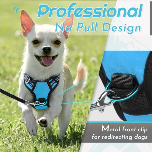 Image of Eagloo Dog Harness for Small Dogs, No Pull Pet Vest with 2 Leash Clips