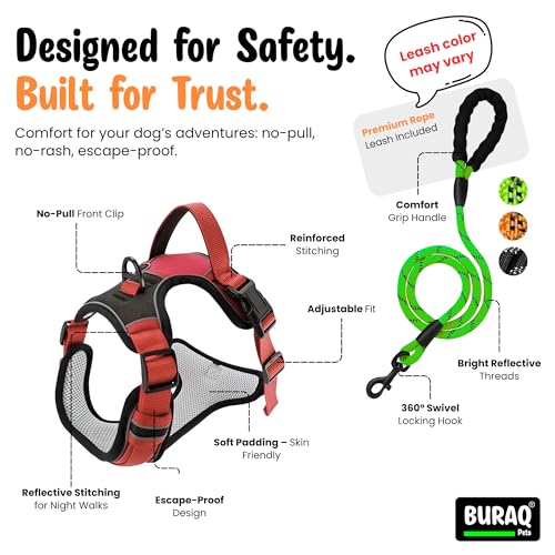 Image of Buraq Reflective Dog Harness with Leash, No-Pull Adjustable Belt Vest for Small, Medium & Large Dogs, Escape-Proof, Padded Training & Walking Harness (Red, L)