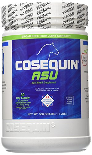 Best Joint Supplement For Horses 2020 Reviews: Glucosamine, ASU, MSM