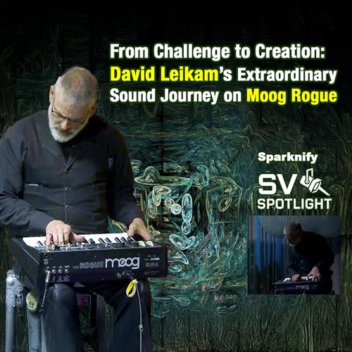 From Challenge to Creation: David Leikam&rsquo;s Extraordinary Sound Journey