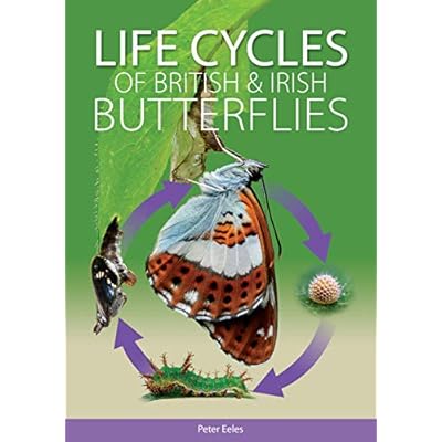Life Cycles of British and Irish Butterflies