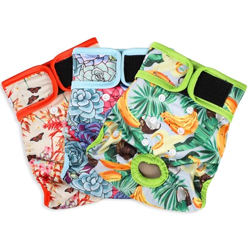 Image of Washable Female Dog Diapers - Premium Reusable Diapers for Doggie in Heat - Highly Absorbent Dog Diapers Female for Pet Incontinence with Adjustable Snaps (Succulents, XXL)