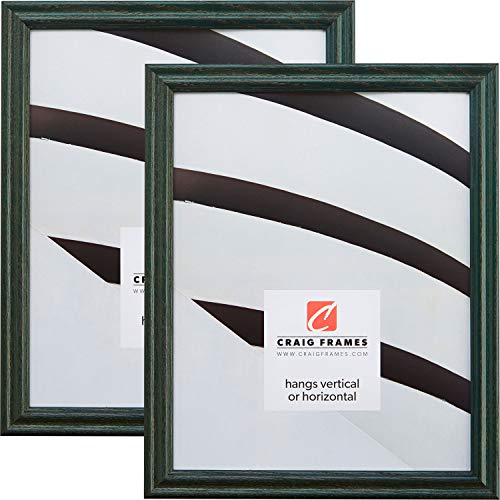 Craig Frames 200ASHGR 8.5 x 11C` tHgt[ O[ 2Zbg