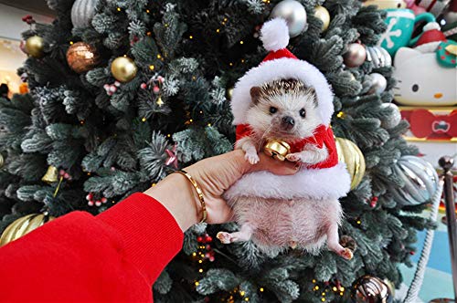 Disfraz para erizo Navidad Santa Claus talla XS miniatura 2