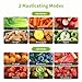 Aeitto Cold Press Juicer Machines, 3.6 Inch Wide Chute, Large Capacity, High Juice Yield, 2 Masticating Juicer Modes, Easy to Clean Slow Juicer for Vegetable and Fruit, Silver